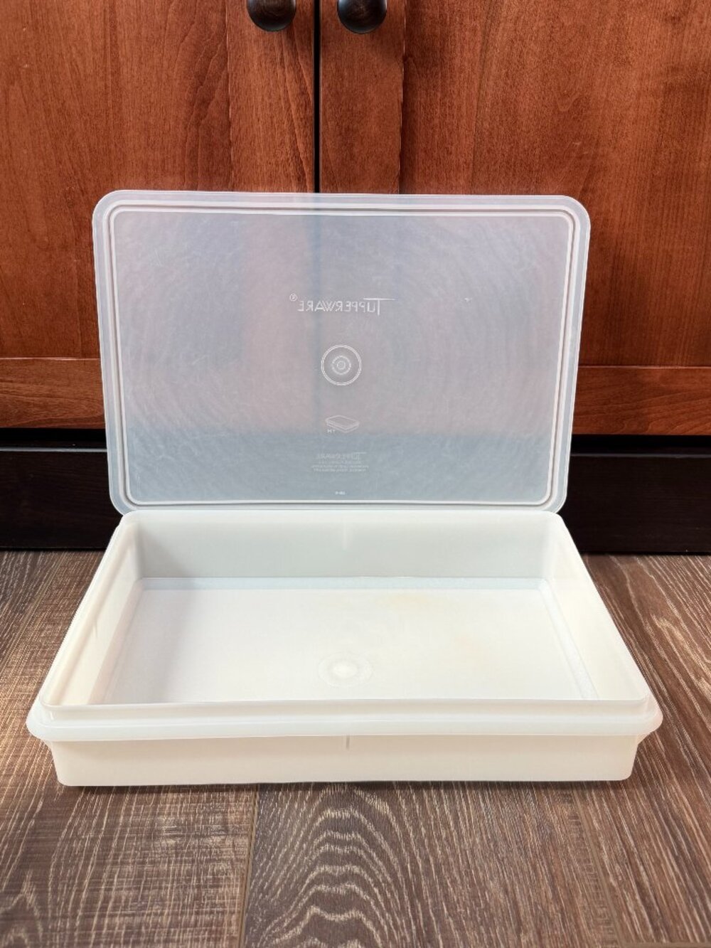 Vintage Tupperware Snack-Stor Rectangular Container